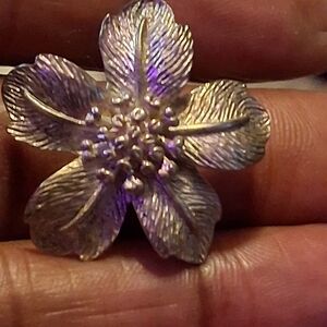 Authentic Tiffany & Co Sterling Silver Dogwood Wild Rose Clip On Earrings